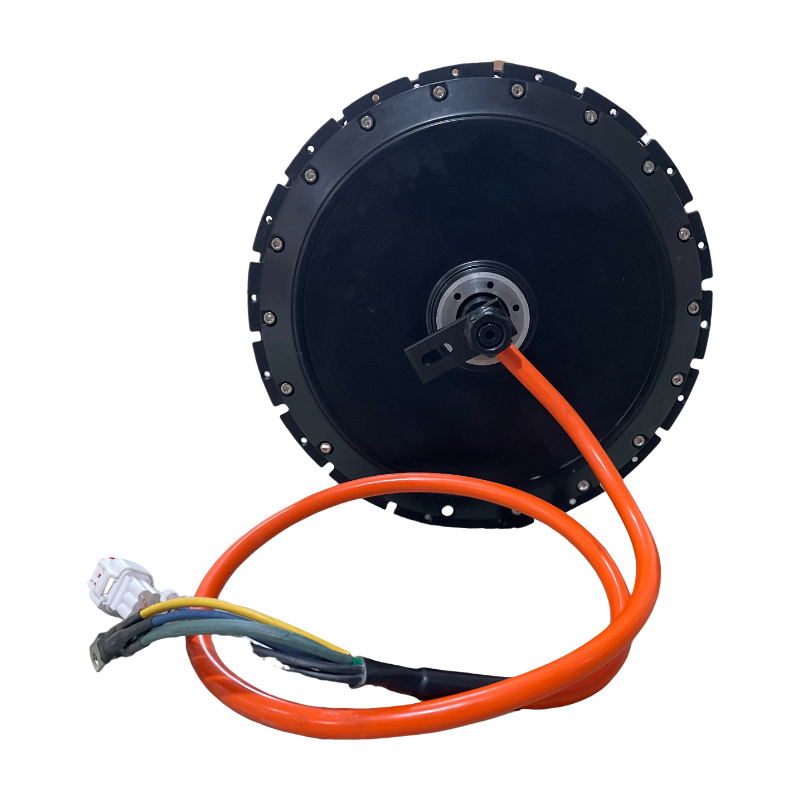 Qs Motor 273 8000W Hub Motor - QS 273 40H V3 4000W 최대