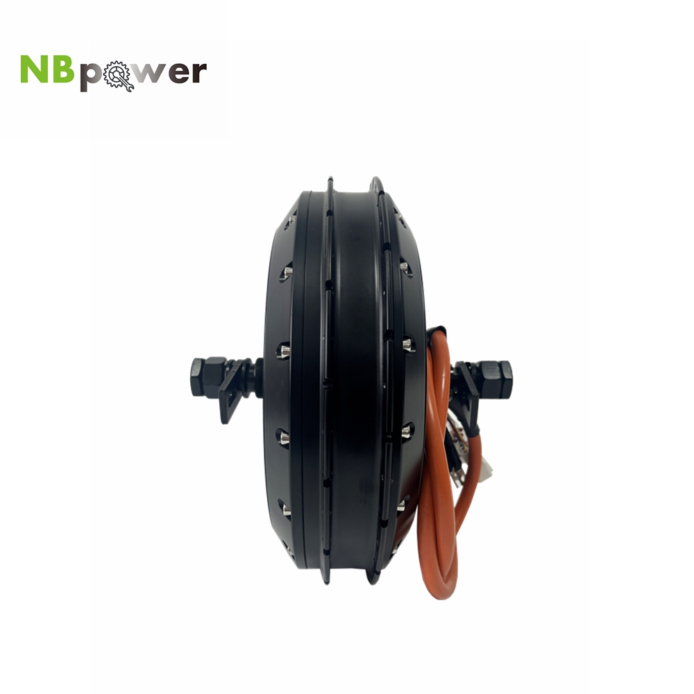 NBpower 18x22mm 액슬 40H QS 273  - Qs Motor 273 8000W Hub Motor 리뷰 및 가격